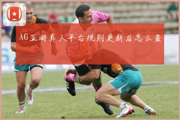 AG亚游真人平台规则更新后怎么查