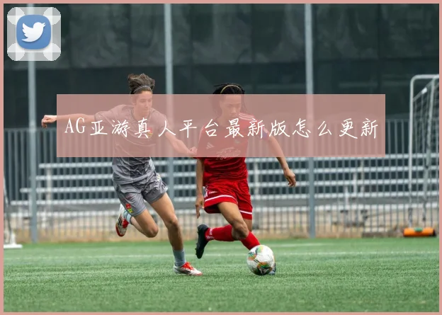 AG亚游真人平台最新版怎么更新
