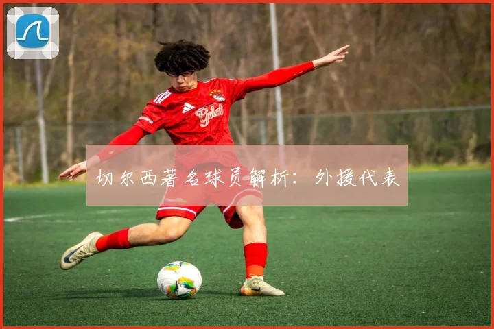 切尔西著名球员解析：外援代表