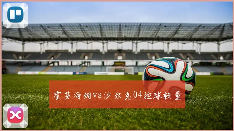 霍芬海姆vs沙尔克04控球较量