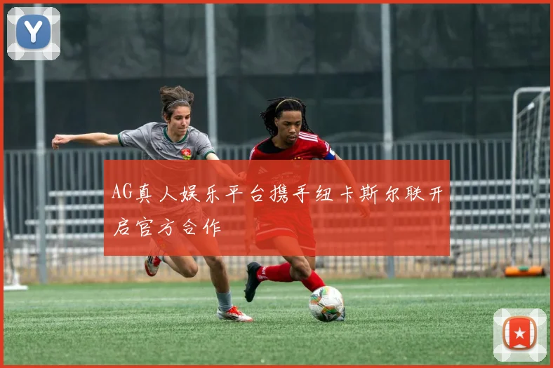AG真人娱乐平台携手纽卡斯尔联开启官方合作