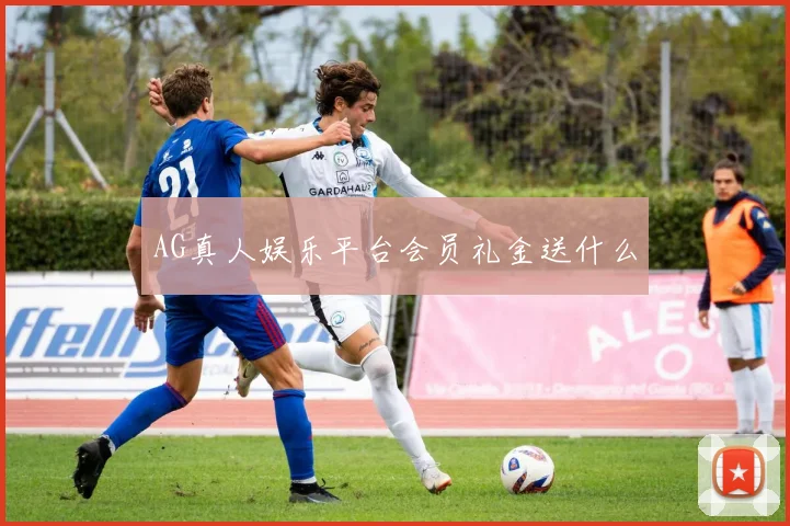 AG真人娱乐平台会员礼金送什么